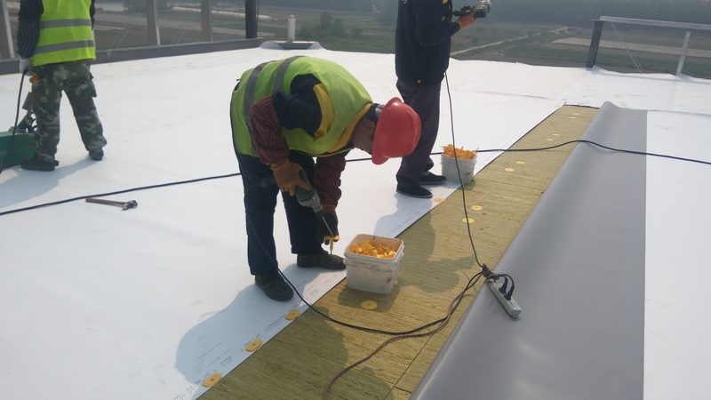 卫生间防水：丙纶布与涂料的差异解析**